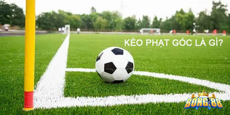 Kèo phạt góc dựa trên số quả phạt góc xảy ra